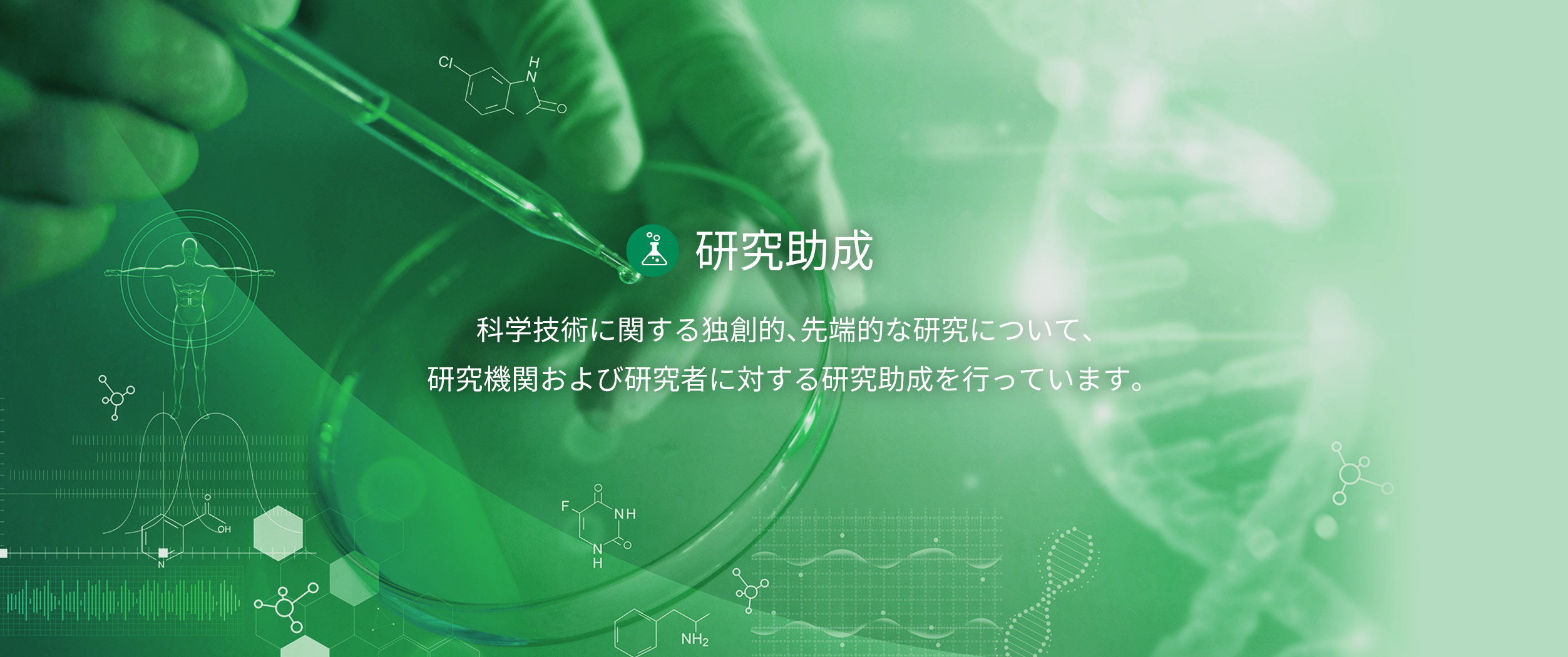 研究助成